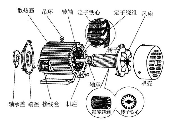 三相異步電動機的六種分類方法及具體分類。